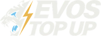 evos top up